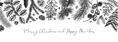 Merry Christmas background. Vintage winter trees, evergreen plants, conifers, and nuts sketches. Vector design with hand drawn botanical elements. Christmas card and New year invitation templates